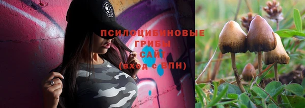 2c-b Алексин