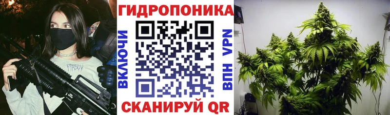 Бошки марихуана OG Kush  как найти закладки  Катайск 